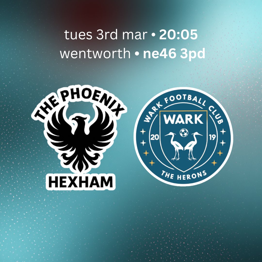 Hexham Phoenix FC tweet media