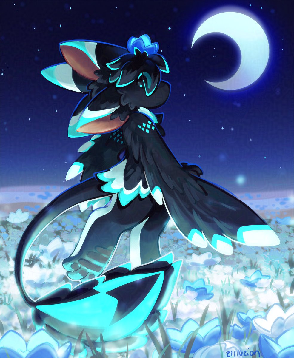 zillu ☕🧡 tweet media