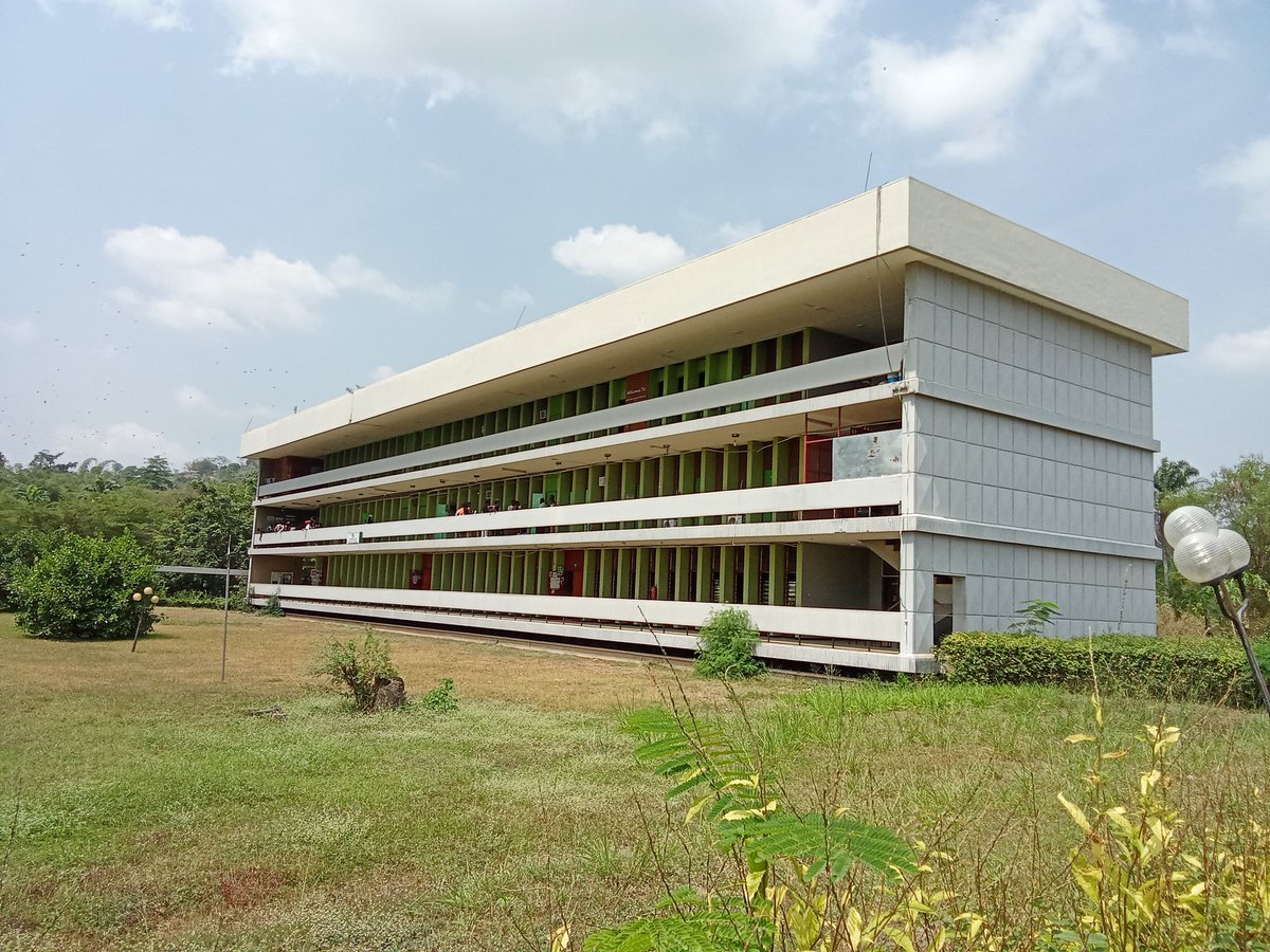 Tim is Him🇳🇬🇺🇸 tweet media