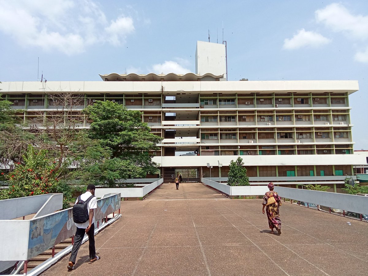 Tim is Him🇳🇬🇺🇸 tweet media