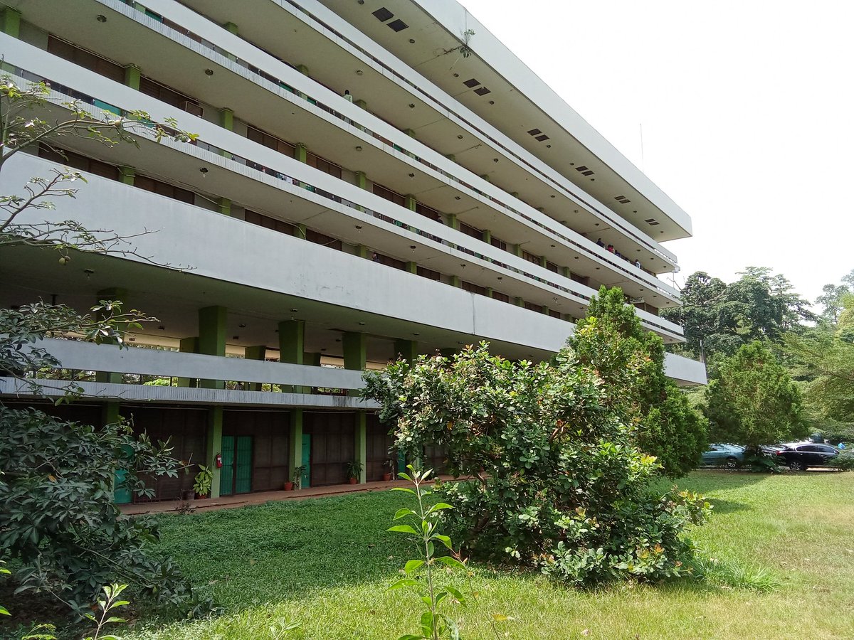 Tim is Him🇳🇬🇺🇸 tweet media