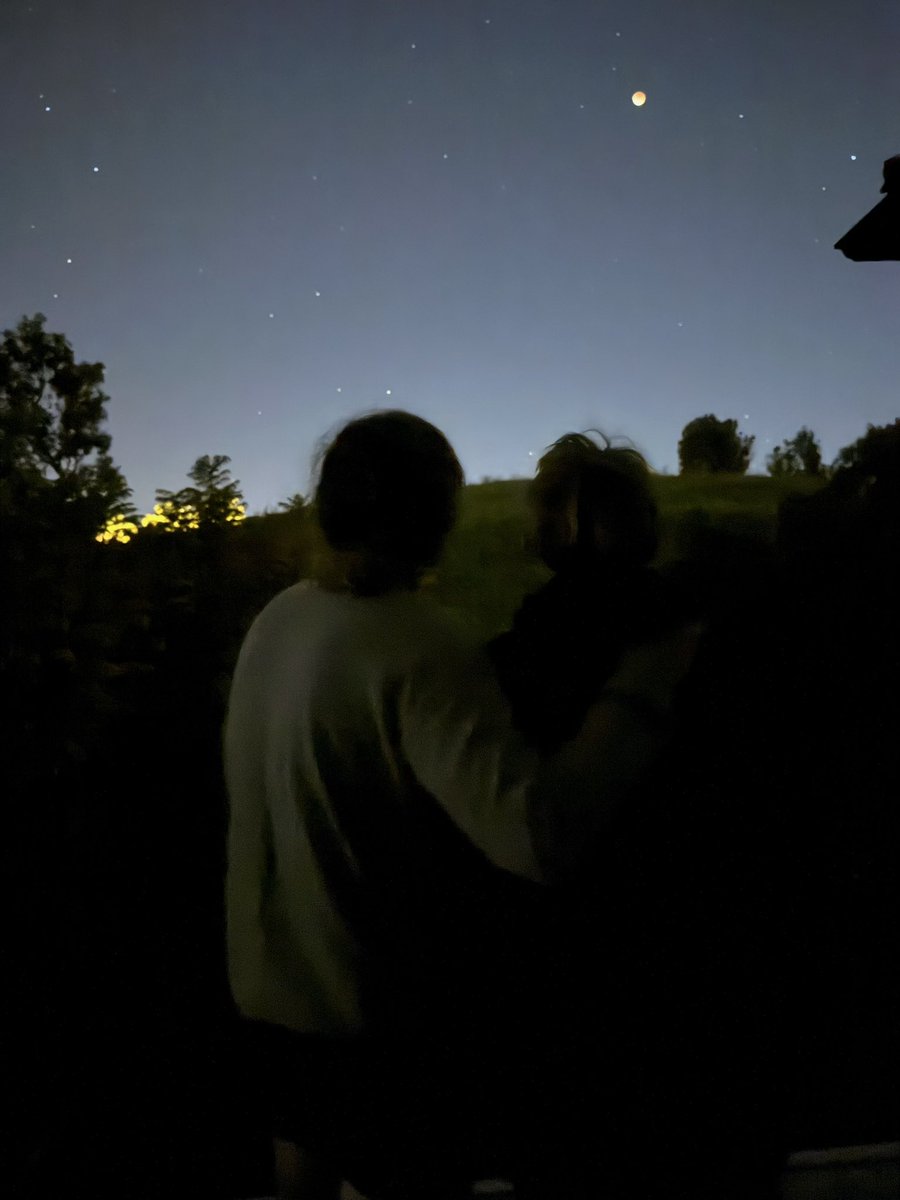 Sean Feucht tweet media