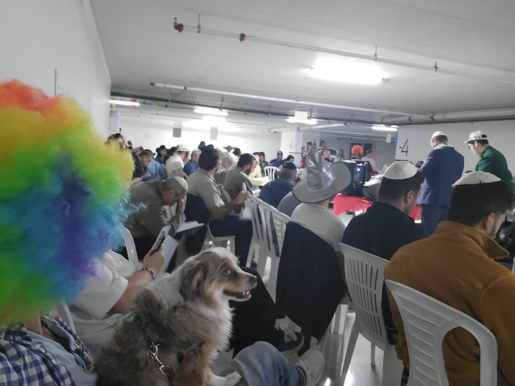 Ari Teman tweet media