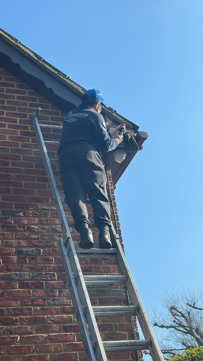 Croydon Property Maintenance tweet media