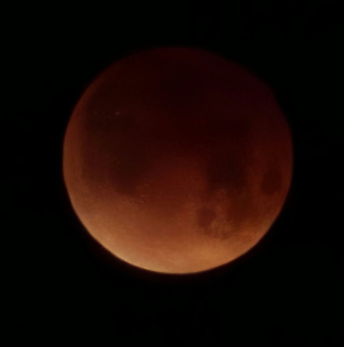 Sarcastic Sweetheart 😘 tweet media