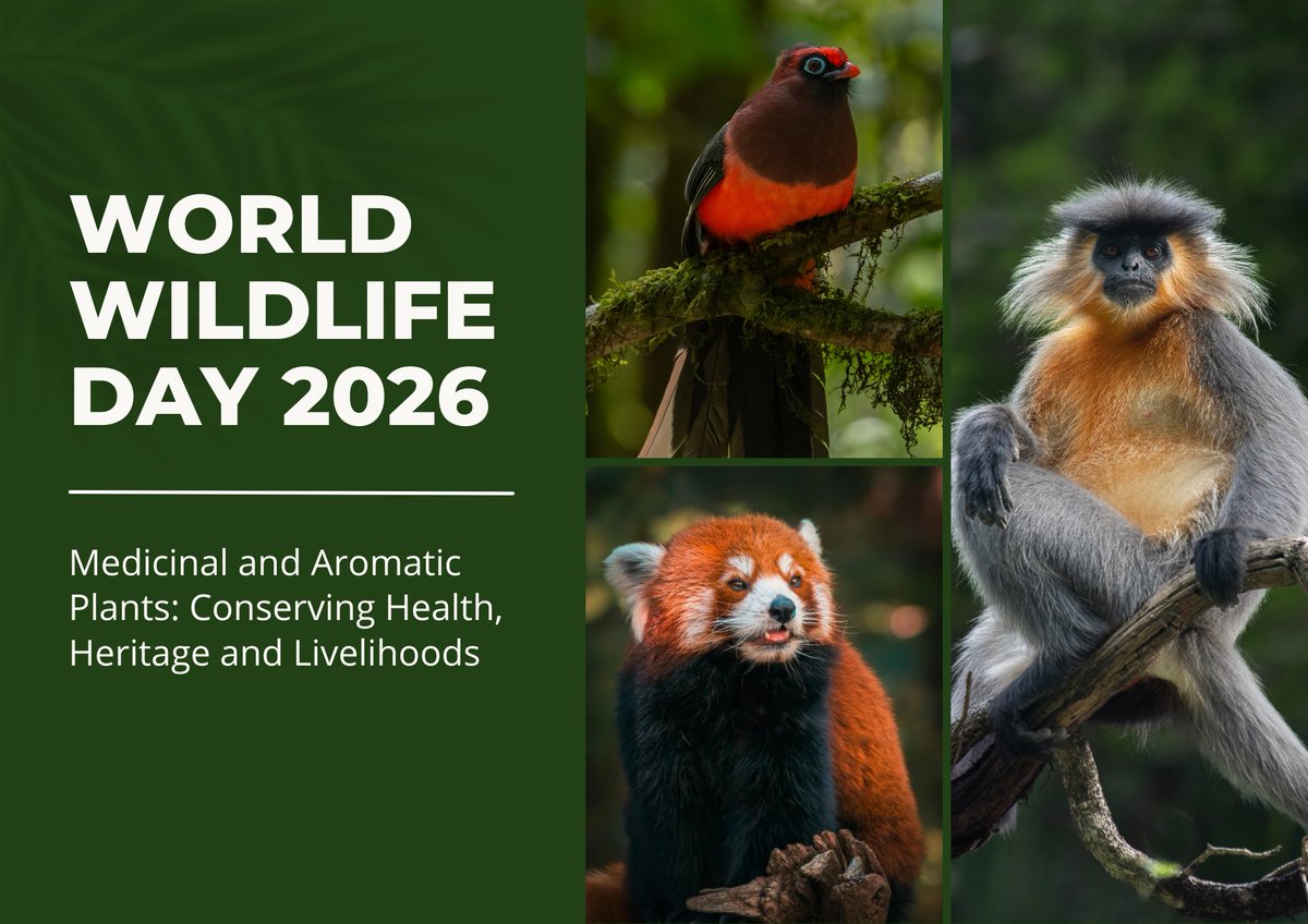 Bhutan Trust Fund for Environmental Conservation tweet media