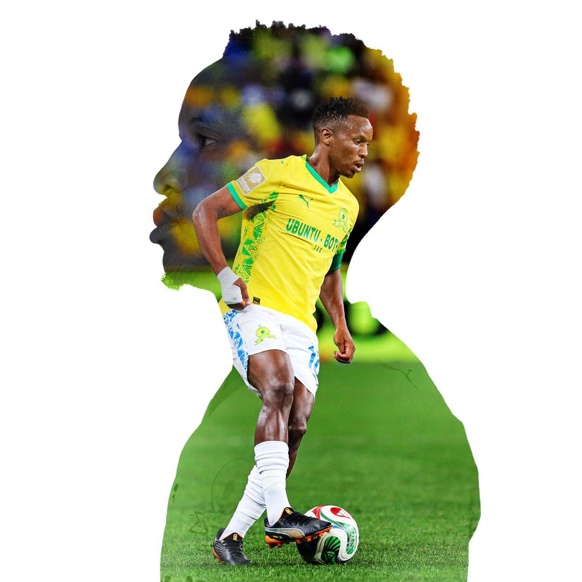Mamelodi Sundowns FC tweet media