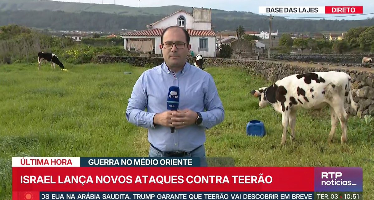 Bruno Maçães tweet media