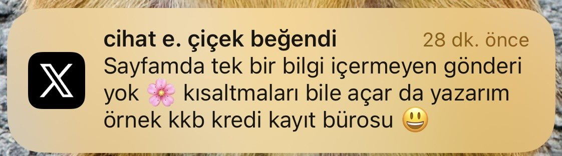 Bankadakikadınmüdür tweet media