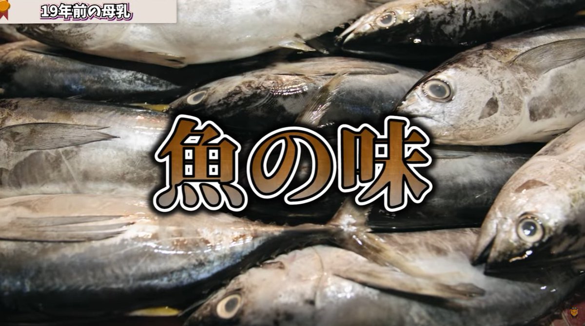 【衝撃】探偵ナイトスクープで19年前の母乳を息子に飲ませる母親が出演した件
■事件概要（2022年）
・大阪府に暮らす51歳の女性から「20歳になった息子に19年前の母乳を飲ませたい」との依頼が番組に届く
