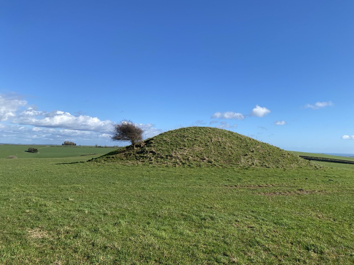 Vicky_liddell's tweet photo. Bronze Age round barrow and wind blasted hawthorn on the South Dorset Ridgeway. #TombTuesday #barrows #bronzeage #dorset #ancientbritain #southdorsetridgeway https://t.co/VcATA11Bl6