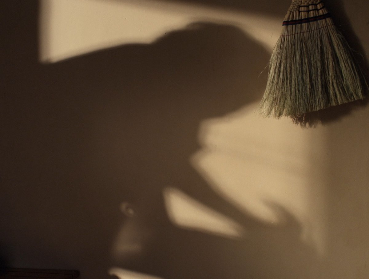 filmfr4me's tweet photo. Perfect Days (2023)
Director: Wim Wenders https://t.co/kFX9pWIMlr