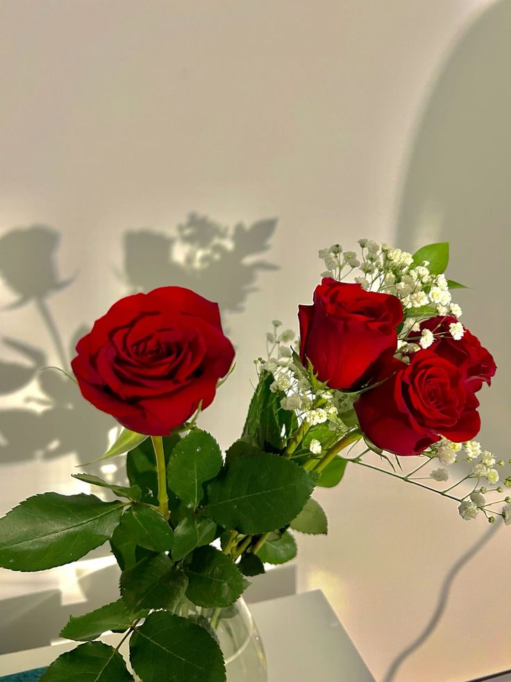 Ruang__Rasa's tweet photo. ˗ˏˋ ❀ 𝐅𝐢𝐭𝐮𝐫 𝐒𝐩𝐞𝐬𝐢𝐚𝐥 : 𝐊𝐢𝐫𝐢𝐦 𝐑𝐚𝐬𝐚 ❀ ˎˊ˗

From : Geraldion
To : Eyiong ( @wineq )
🎁 : red rose flower
Message :
“Happy 100 (+1) days! I love you always, baby.” https://t.co/3dBAaTAIAv
