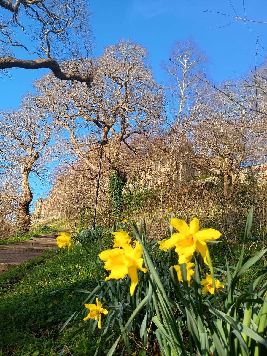 Bangor University Modern Languages & Cultures tweet media