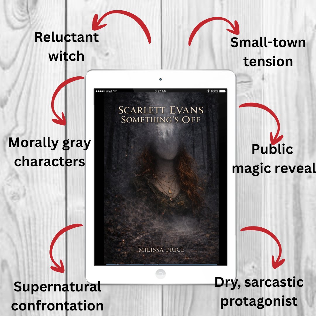 DS Book Promotions tweet media