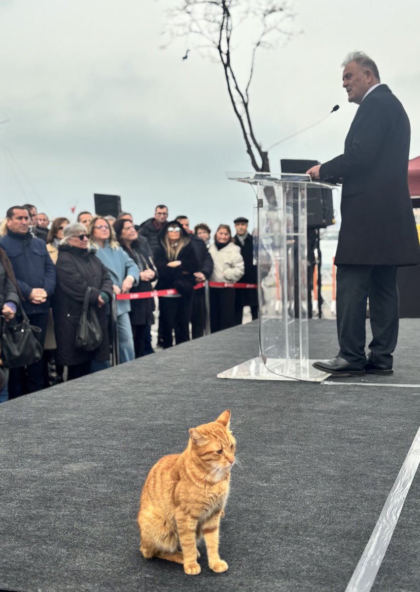 İstanbul, bütün dünyada kedilerin şehri olarak biliniyor.

İstanbul’u yöneten İBB Başkanvekili Nuri Aslan’a sahnede bir kedinin eşlik etmesi hiç şaşırtıcı değil. 

Aksine İstanbul’un ruhuna yakışan son derece doğal bir kare.

Çünkü kediler, bu şehirde misafir değil, ev sahibi…