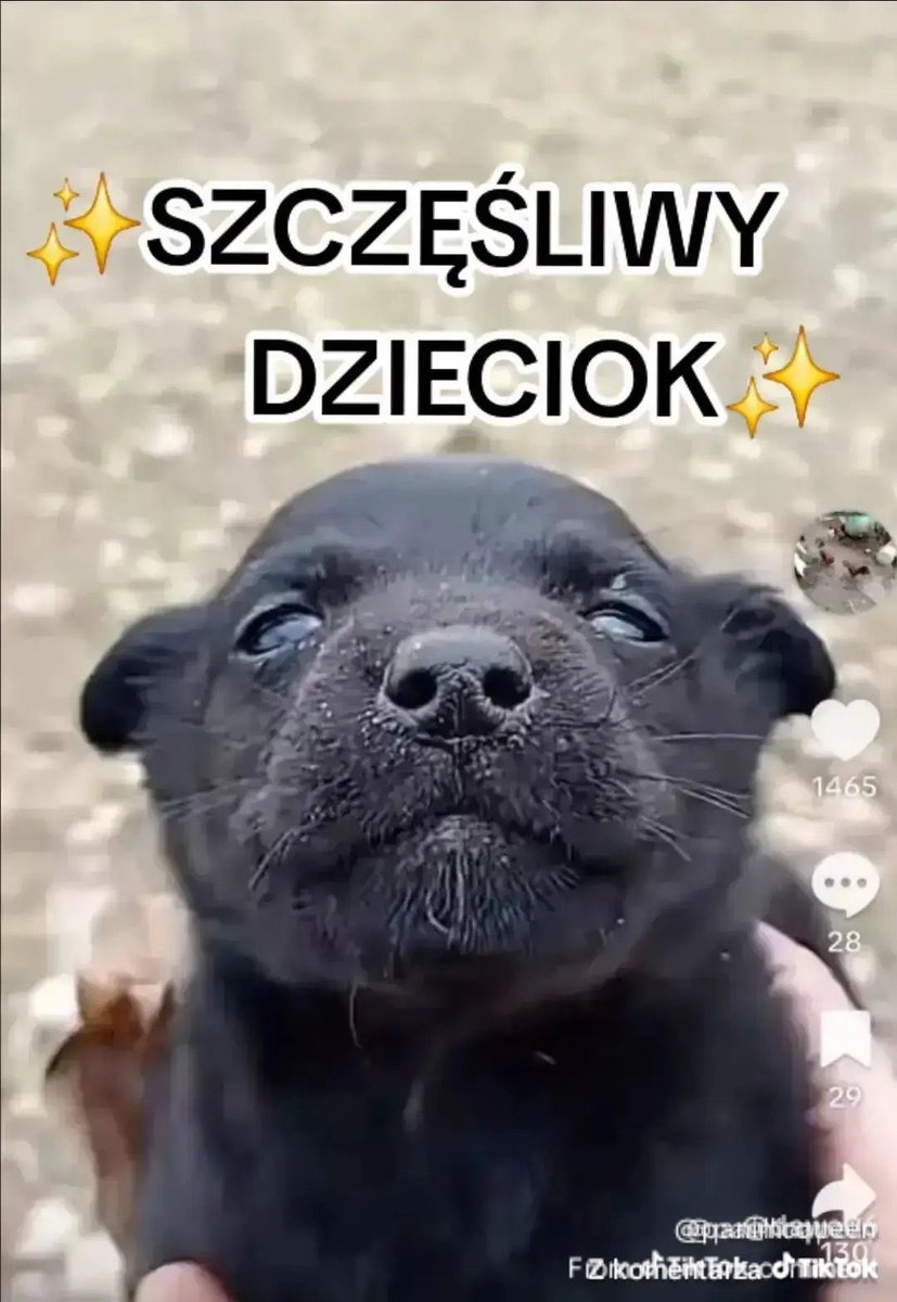 julia²⁸ tweet media