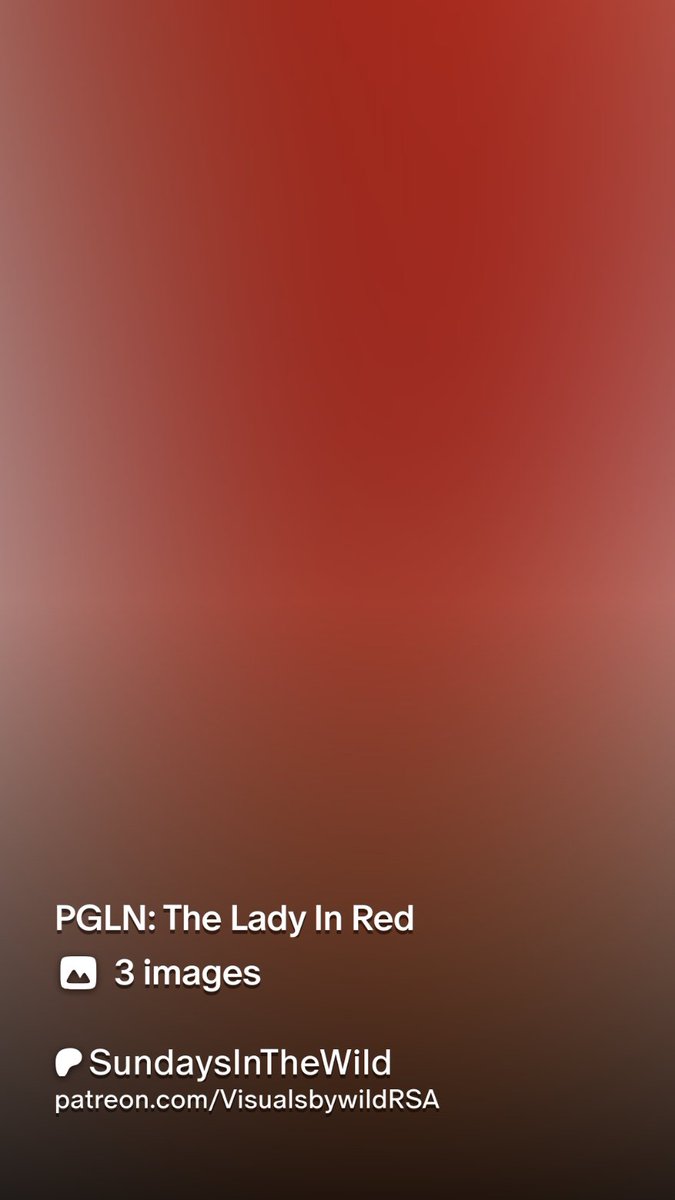 #S.I.T.W tweet media