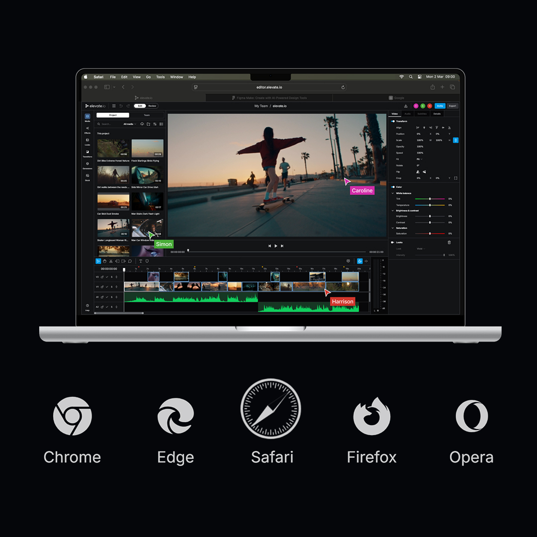 Blackbird tweet media