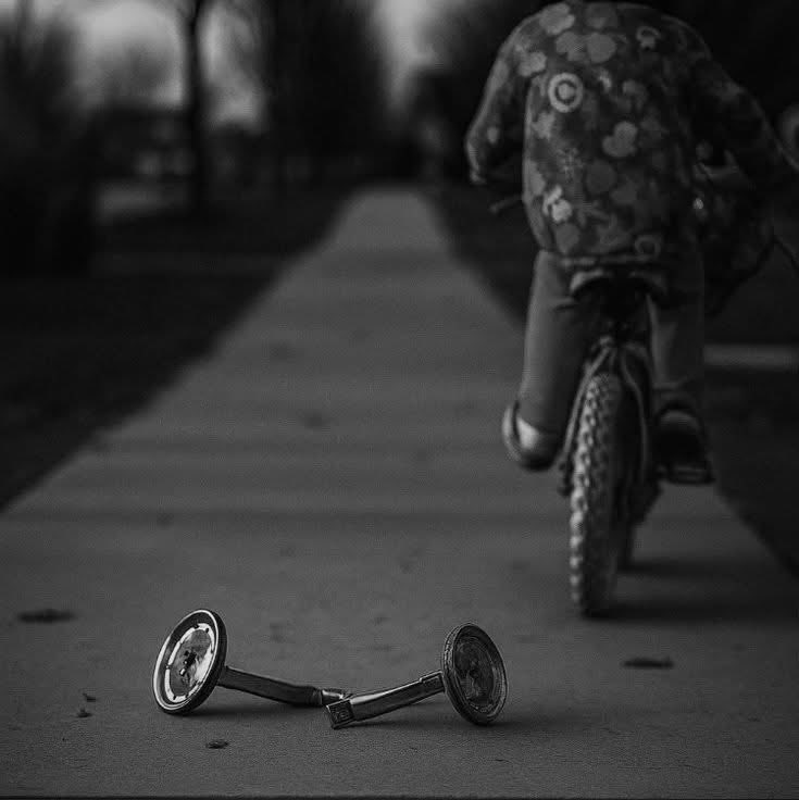 فلسفة مُلهمة ‏ tweet media