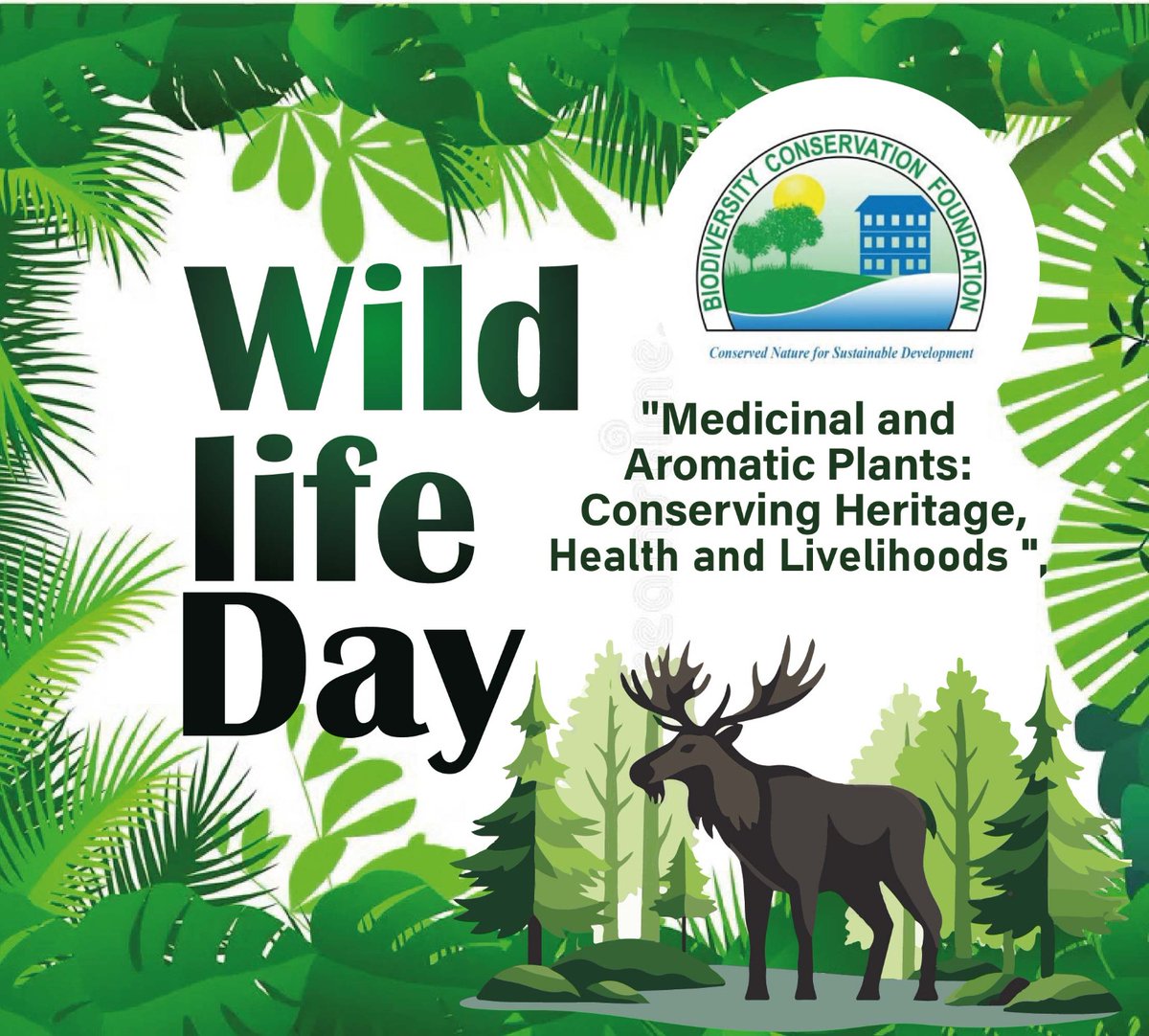BiodiversityCo5's tweet photo. Protecting natural habitats from destruction, is the most effective way to ensure that wildlife species have space, food and safety they need to thrive. @ugwildlife @nemaug @min_waterUg @cceai_africa https://t.co/Tu2l0A3YFe