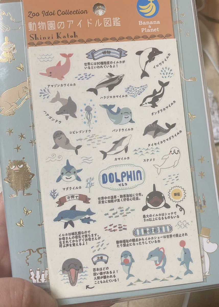 使えないのはわかってるのに買わずにはいられないやつーー🐬