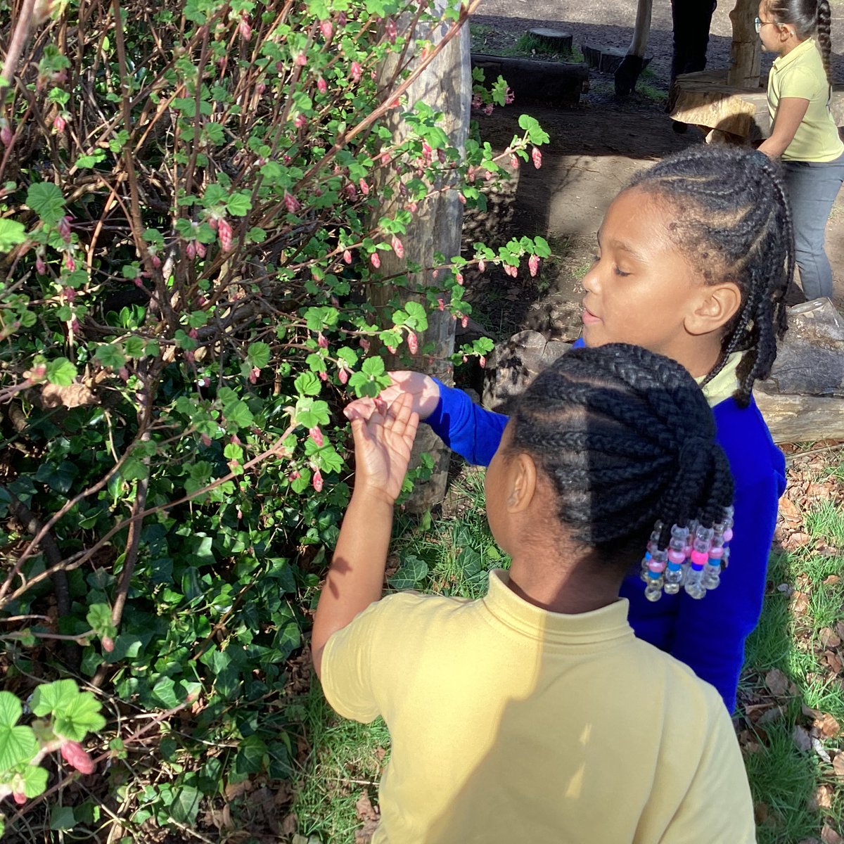 St Catherine of Siena Catholic Primary School tweet media