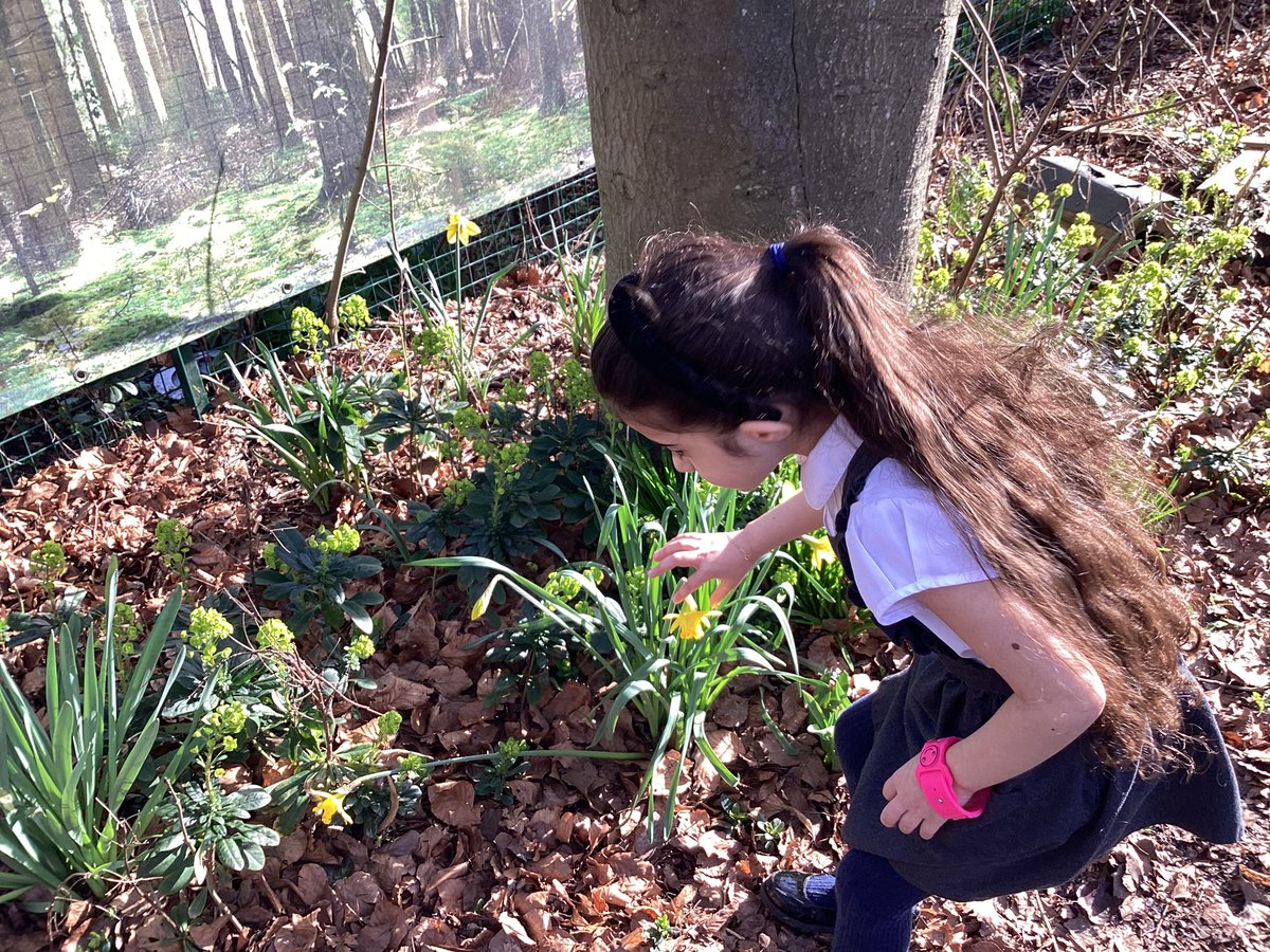 St Catherine of Siena Catholic Primary School tweet media