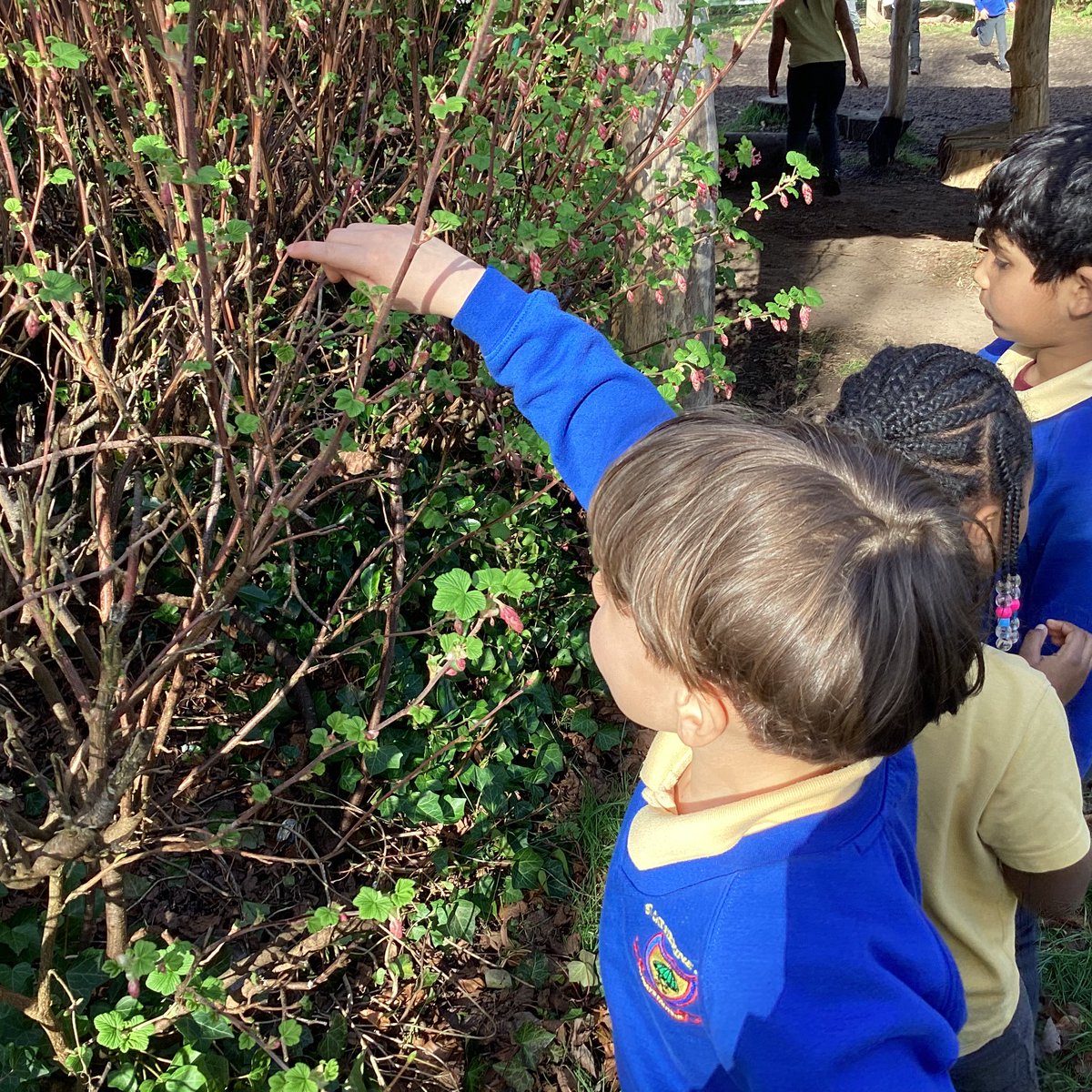 St Catherine of Siena Catholic Primary School tweet media