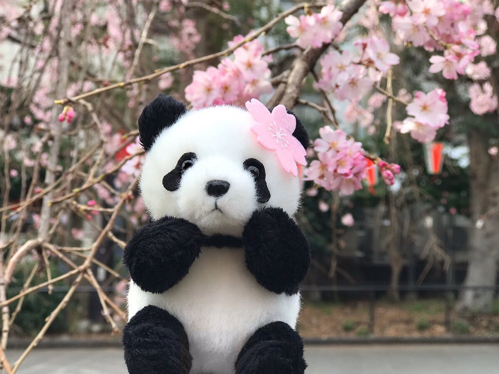 ╭━━━━━━━━━━━━━╮ 3月5日(木)に再登場