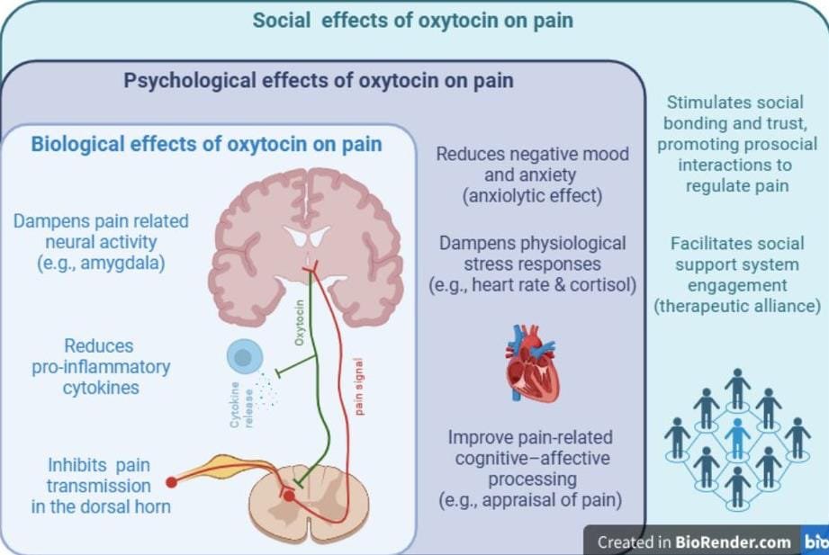 Physio Explored tweet media