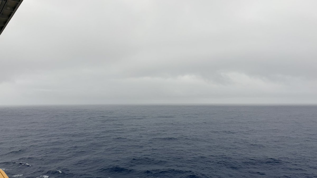 Matt Vertrees tweet media