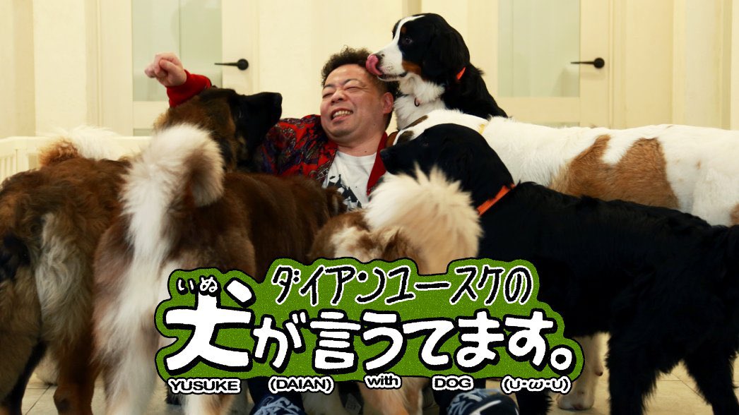 yu_suke_inu's tweet photo. 🦖🐕🦖🐕
《ついに情報解禁です》
ダイアン #ユースケ MCの新番組スタート‼︎

〈ユースケ×犬〉の相性抜群タッグが誕生
犬に囲まれながら本音トーク(∪･ω･∪)
初回ゲストは #永野

3月4日(水)27:05～ 4週連続OA
一部地域を除く
TVer見逃し配信あり📺

#バラバラマンスリー #犬が言うてます
🦖🐕🦖🐕 https://t.co/o6hpVZrZFI