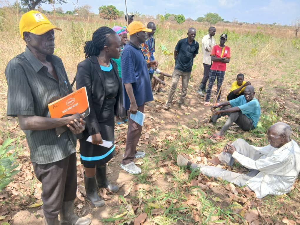 FIDA_Uganda's tweet photo. In Uganda, widows remain disproportionately vulnerable to land grabbing and property dispossession, particularly in rural communities where customary norms often override legal protections. ⚖️

In Kitgum with support from @UCC_Official and Adriko & Associates, our intervention protected a 95-year-old widow from unlawful land takeover through locus mediation, boundary restoration, and community sensitisation of 28 local leaders and members on succession and women’s property rights. Her ownership was formally affirmed, and her grandchildren’s inheritance secured.

This is what inclusive justice looks like, protecting rights, shifting community norms, and strengthening accountability at the grassroots. 🌿
#FJDSpotlight #InclusionTuesday