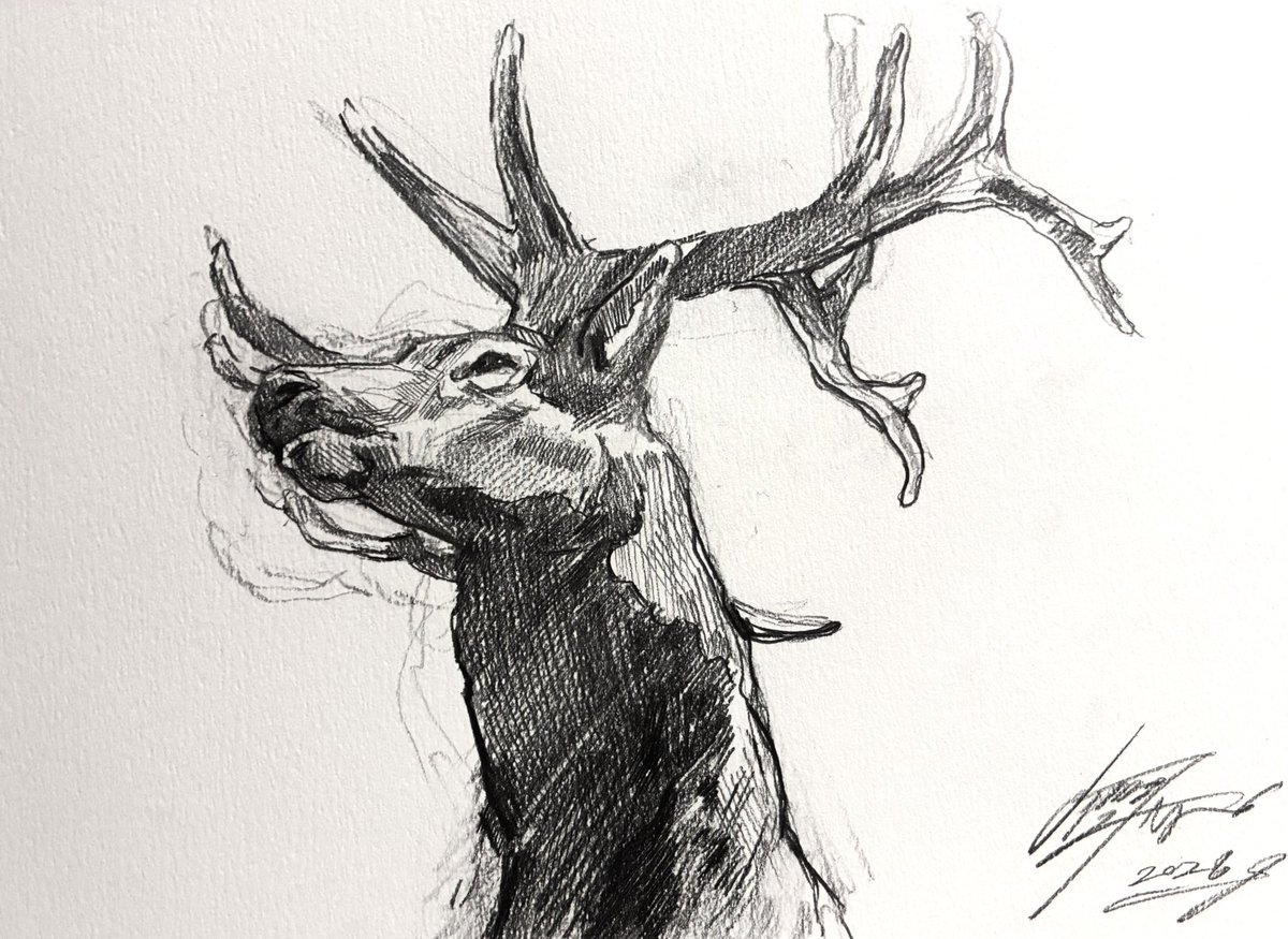 タカハシ シオン【個展4/14-4/19 宮城にて開催】 tweet media