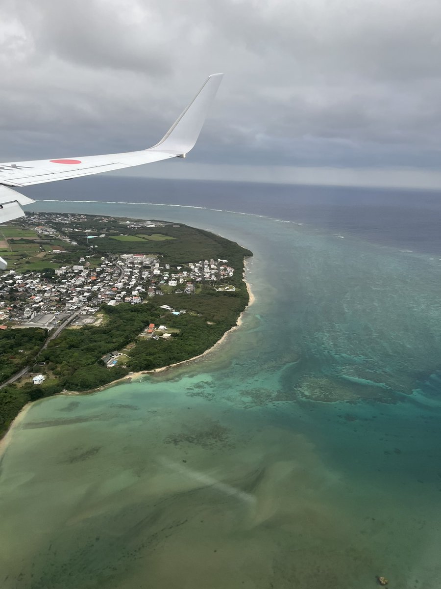 インピーやしがに【殻式】 tweet media