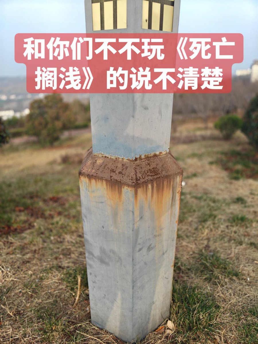 自觉放齐 aka. ZJFQ tweet media