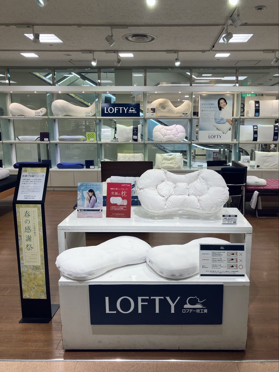 枕専門店 LOFTY / ロフテー枕工房 【公式】 (@LOFTY_JP) / Posts / X