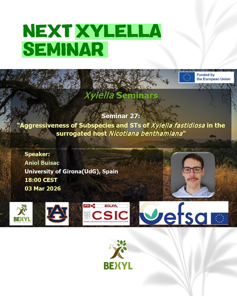 Bexyl Project tweet media