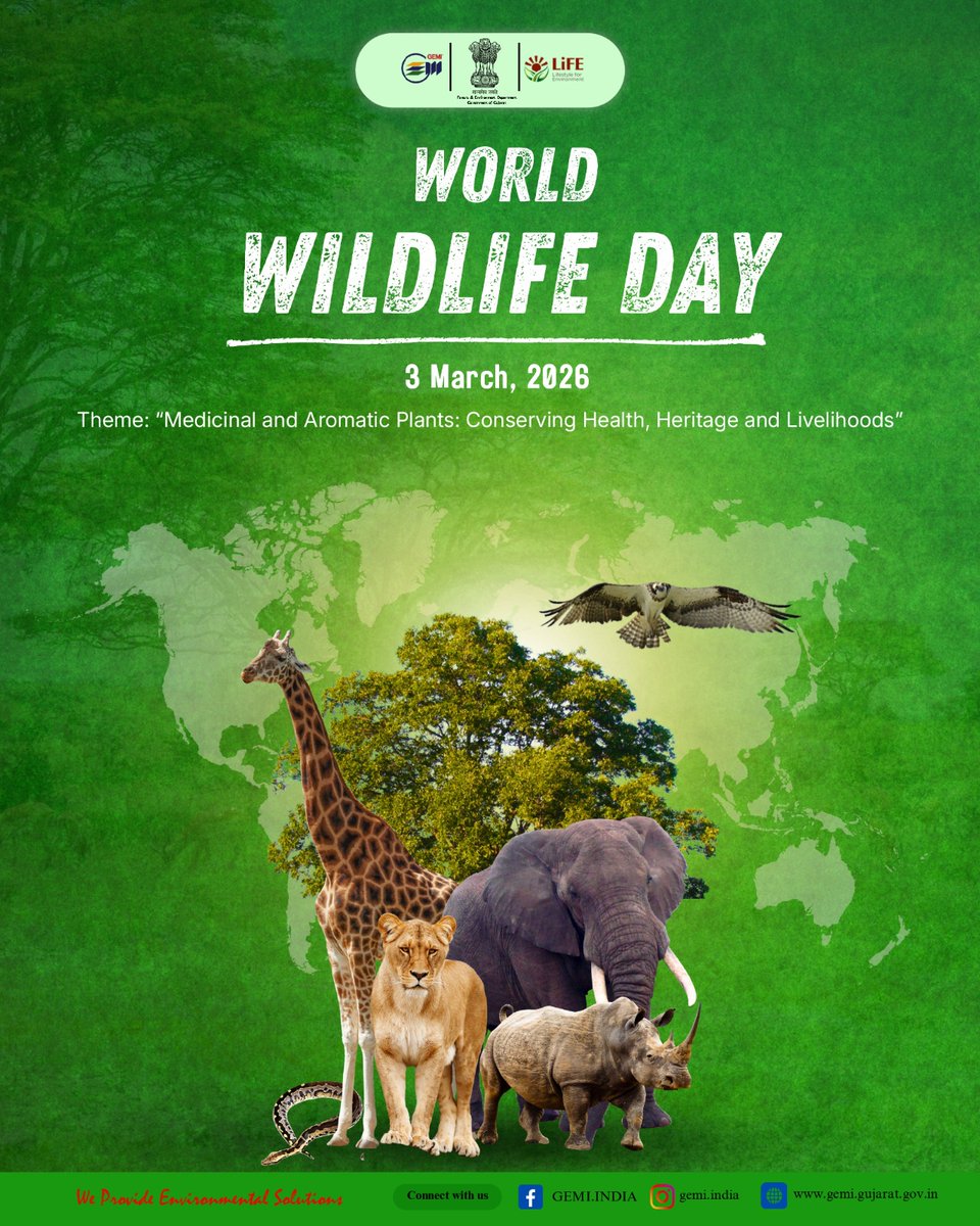 🌱🌿 Protect wildlife today 🦁, preserve life for tomorrow 🌎🐾
Every species 🐘🦋 matters, every action ✨💚 counts 🦜🐾

#worldwildlifeday #savewildlife🧬 #biodiversity #forestdepartmentgujarat #wildlifeconservation