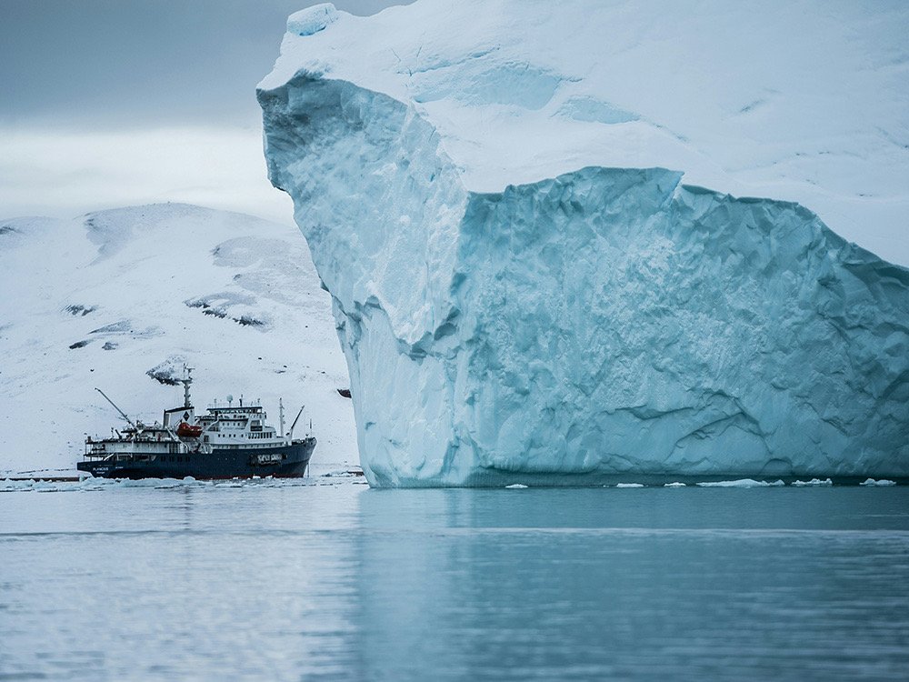 International Maritime Organization tweet media