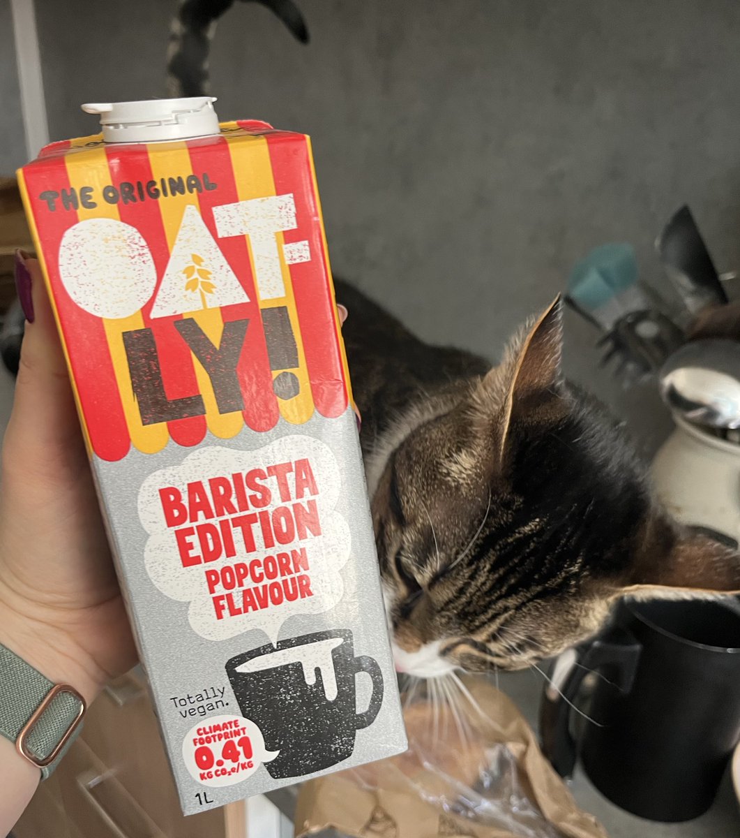 TaSTěmaKočkama tweet media