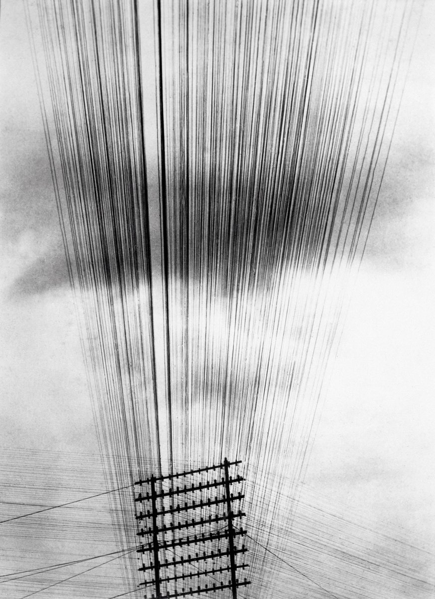 RafaelMateos7's tweet photo. Tina Modotti (1896-1942) https://t.co/1ELtmCEq7m
