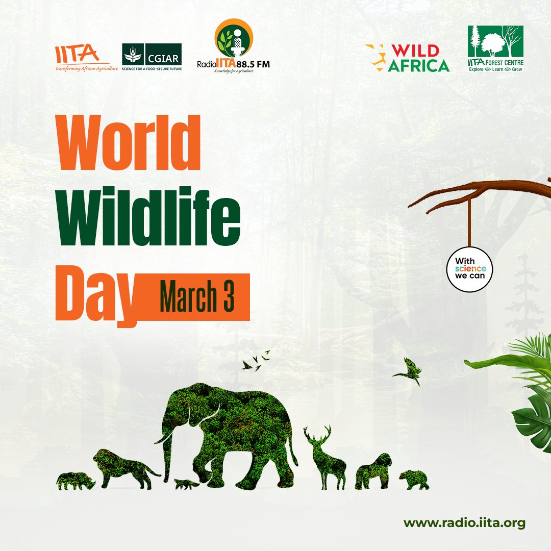 RadioIITA tweet media