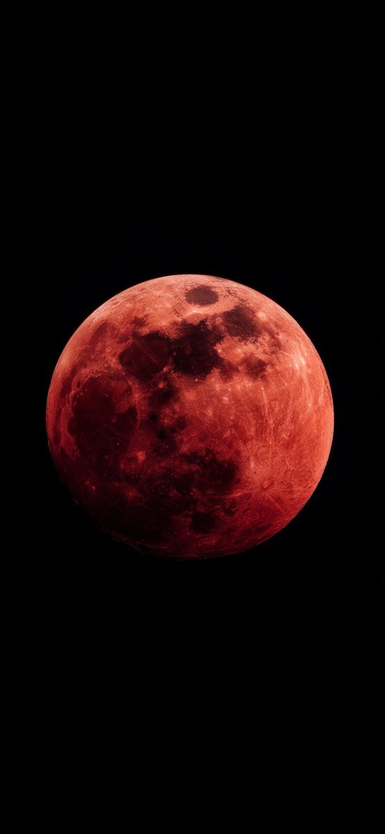 این ماه خون است.
خون سرزمینِ کهن.
خون فهم وطن.
خون بی‌وطنی و خون خیانت.
خون خائنانی که خاک را معامله کردند.
خون انتقام .

خون درد کودکان این سرزمین،
خون بغضِ مادران،
خون  خردِ جمعی که به خاک افتاد.

خون جاری‌ست؛
نه فقط در رگ‌ها،
که در تاریخ.

و ما بر این خون خواهیم دمید،
نه برای