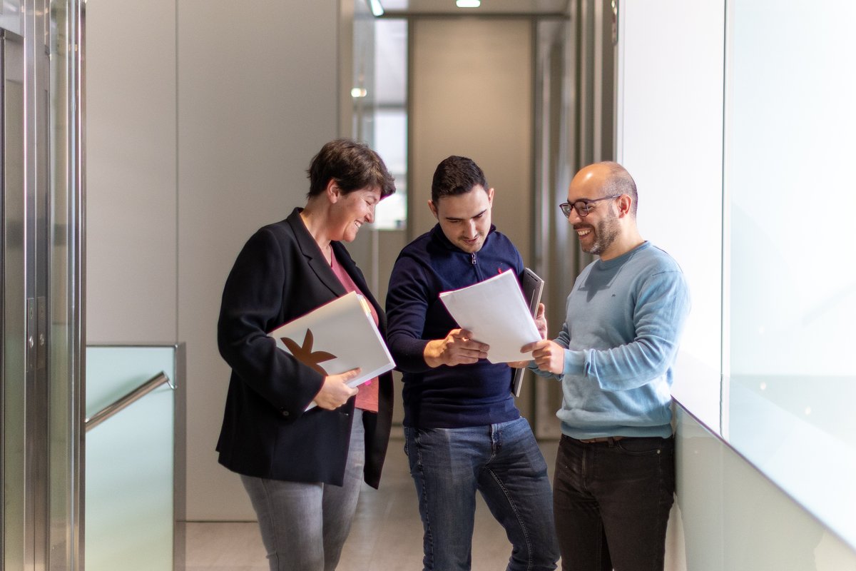 IMPORTACO tweet media