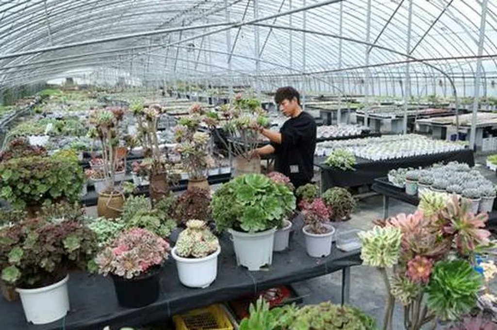 Shanxi's Moisture-Probing Seeder Revolutionizes Dryland Farming agritechinsights.com/index.php/2026…