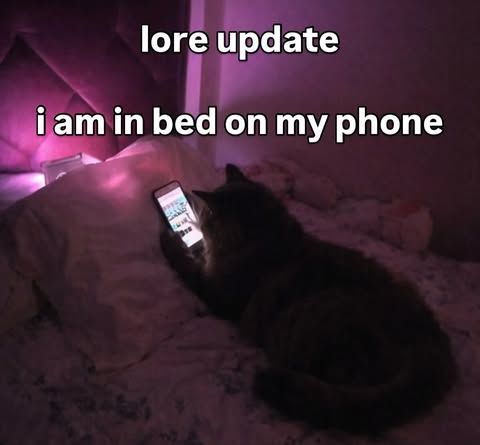 streamer_posts tweet picture