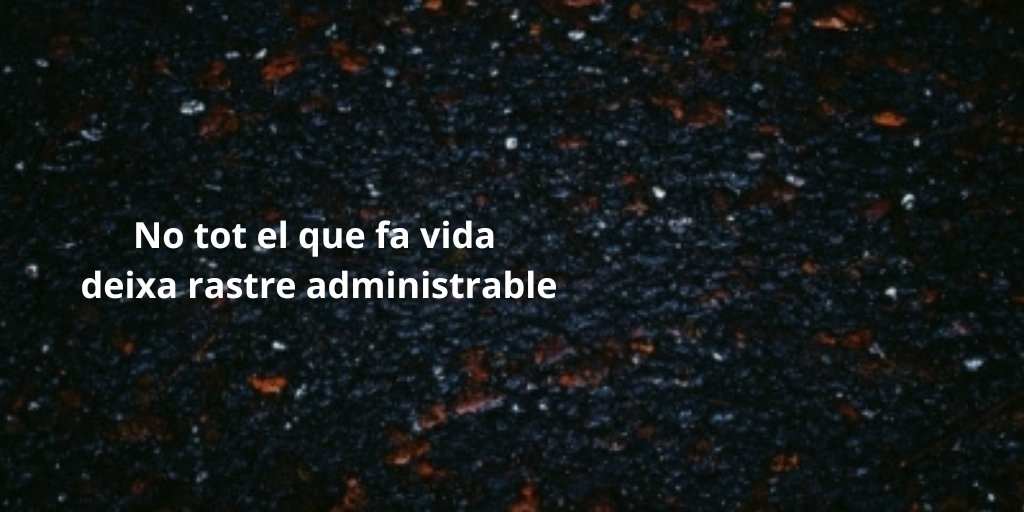 Interacció tweet media