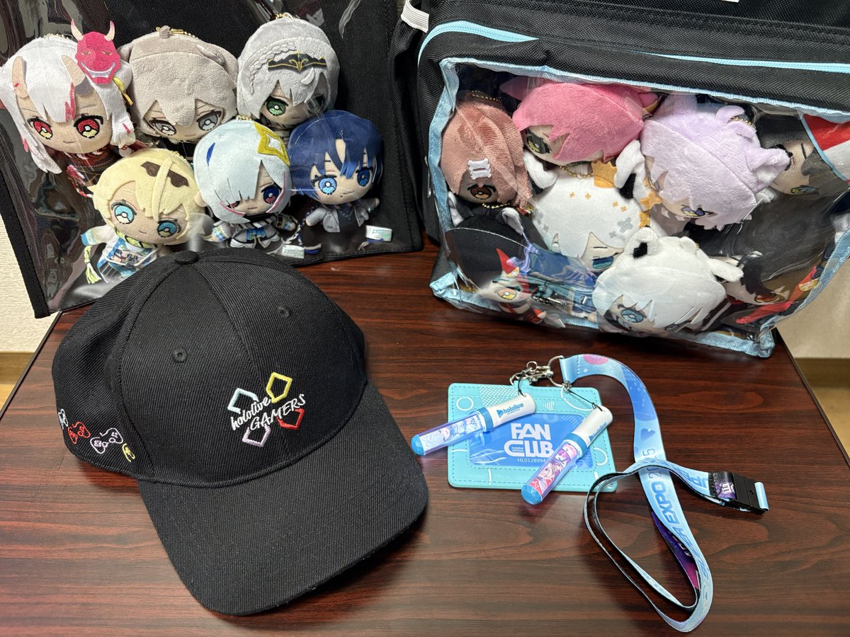 改めて当日はぬい達が詰まったバッグとゲマズ帽子、ファンクラブの会員証首に下げております
めっちゃ楽しみです✨️✨️✨️
 #hololivefesEXPO26
 #こより見て